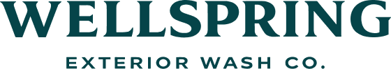 Wellspring Wash Co. Logo